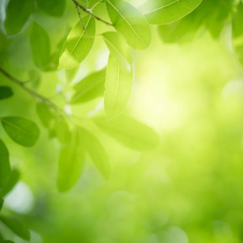 Potpisan ugovor za projekt GreenDesign for Future